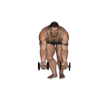 Reverse Row - Bent Over Dumbbell Narrow Stance